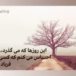این روزها که می‌گذرد قیصر امین پور