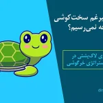 چرا بعضی از ما علیرغم سخت‌کوشی به جایی نمی‌رسیم؟